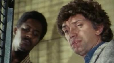 The Professionals