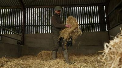 Fletchers' Family Farm