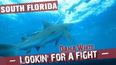 Dana White: Lookin' for a Fight