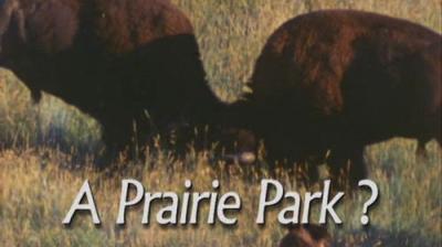 Marty Stouffer's Wild America