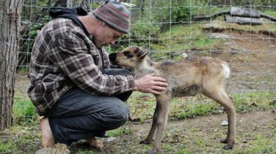 Dr. Oakley, Yukon Vet