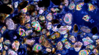 Journey to the Microcosmos