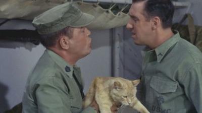 Gomer Pyle, U.S.M.C.