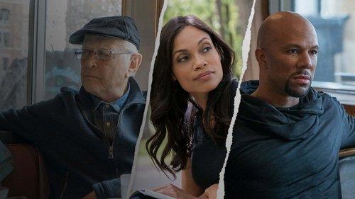 America Divided filmas žiurėti online