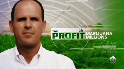 The Profit