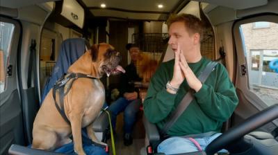 Jani & James Doen-het-zelf