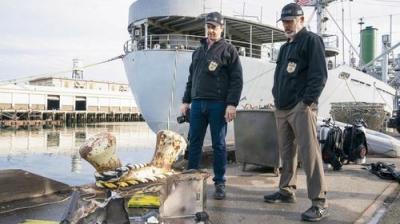 Specialioji jūrų policijos tarnyba
