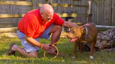 Pit Bulls and Parolees