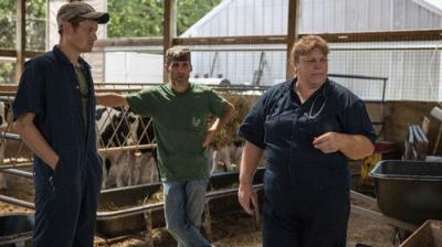 The Incredible Dr. Pol