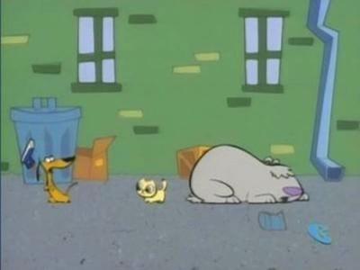 2 Stupid Dogs