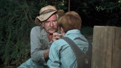 The Waltons