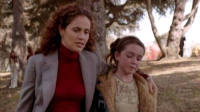 Judging Amy