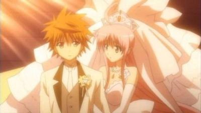 To LOVEる -とらぶる-