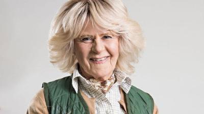 Tracey Ullman's Show