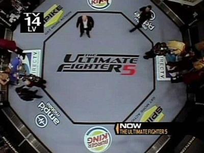 The Ultimate Fighter