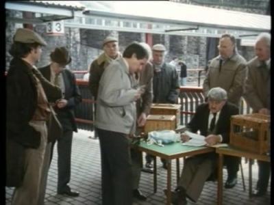 Minder