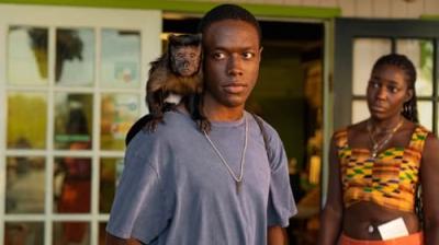 Bad Monkey