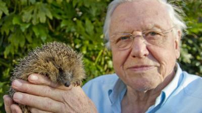 David Attenborough's Natural Curiosities