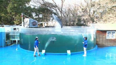 Japan's Top Inventions