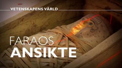 Vetenskapens värld