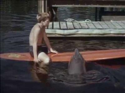 Flipper