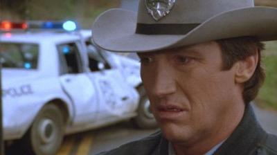 In the Heat of the Night