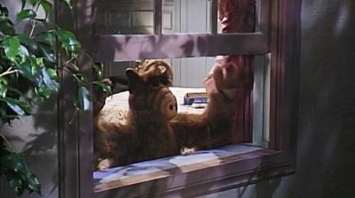 ALF