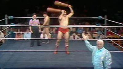 WWF All-Star Wrestling