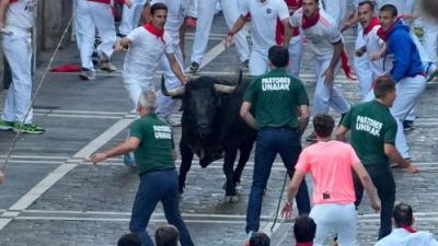 Vive San Fermín