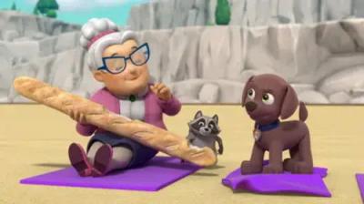 Šunyčiai patruliai