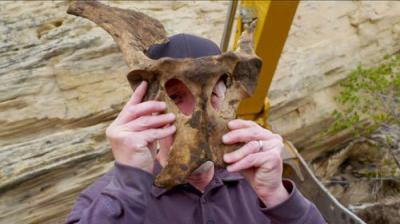 Mystery at Blind Frog Ranch