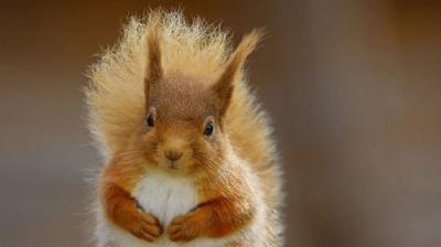 Winterwatch