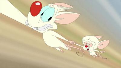 Animaniacs