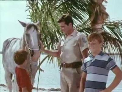 Flipper