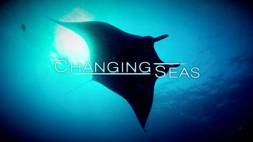 Changing Seas filmas žiurėti online