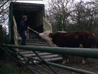 Minder