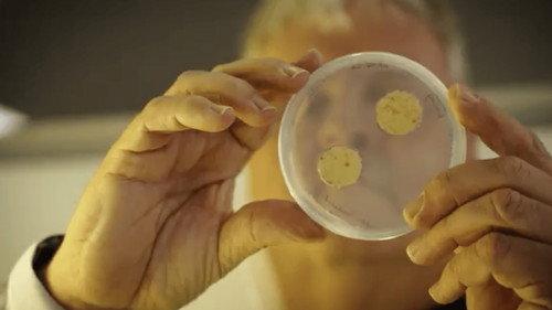 What if...? Genomics in Aotearoa filmas žiurėti online
