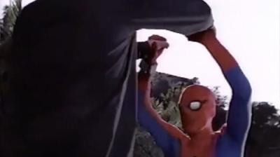 The Amazing Spider-Man