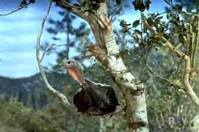 Daniel Boone