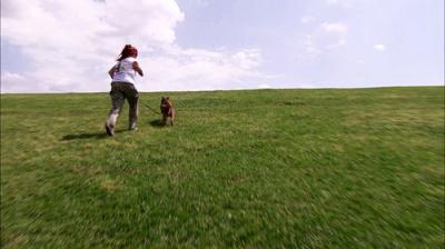 Pit Bulls and Parolees