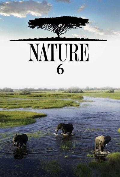 Nature filmas online