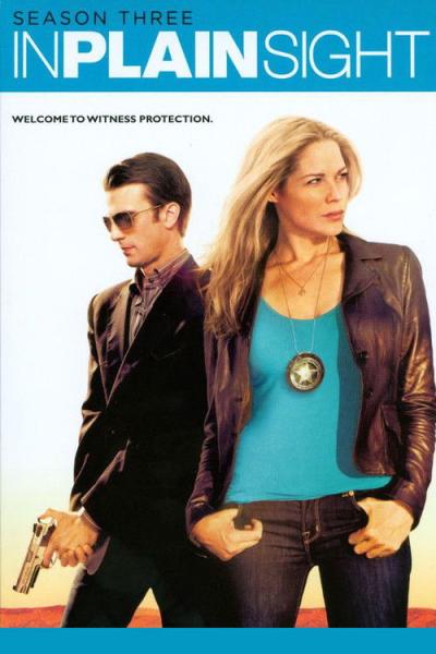 In Plain Sight filmas online