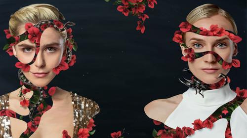 Swimming with Sharks filmas žiurėti online