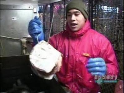 Deadliest Catch
