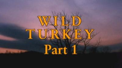 Marty Stouffer's Wild America