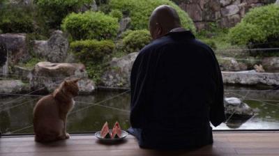 A Cat's-Eye View of Japan
