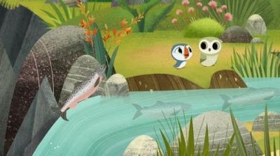 Puffin Rock