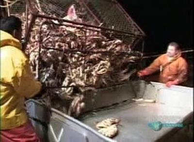 Deadliest Catch