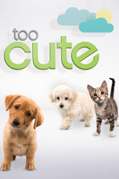 Too Cute filmas online