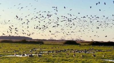 Countryfile
